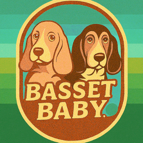 Basset Baby